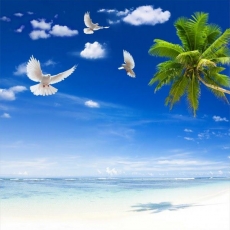 Gökyüzü/bitki gergi tavan modelleri