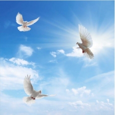 Gökyüzü/bitki gergi tavan modelleri