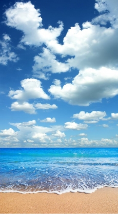 Gökyüzü/bitki gergi tavan modelleri