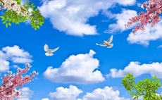 Gökyüzü/bitki gergi tavan modelleri