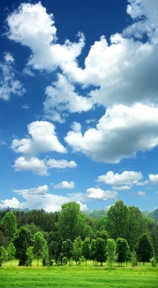 Gökyüzü/bitki gergi tavan modelleri