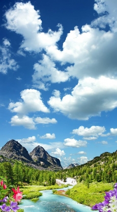 Gökyüzü/bitki gergi tavan modelleri