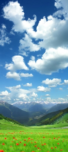 Gökyüzü/bitki gergi tavan modelleri