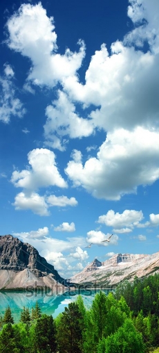 Gökyüzü/bitki gergi tavan modelleri