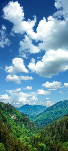 Gökyüzü/bitki gergi tavan modelleri