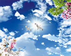 Kuş Resimleri gergi tavan modelleri