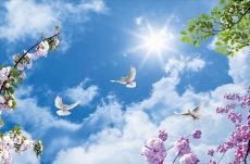 Kuş Resimleri gergi tavan modelleri