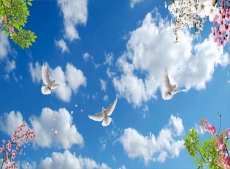 Kuş Resimleri gergi tavan modelleri