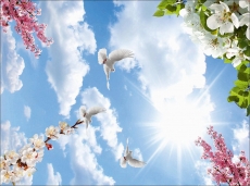 Kuş Resimleri gergi tavan modelleri