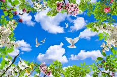 Gökyüzü/bitki gergi tavan modelleri