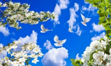 Gökyüzü/bitki gergi tavan modelleri