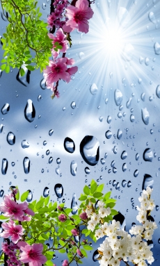 Gökyüzü/bitki gergi tavan modelleri