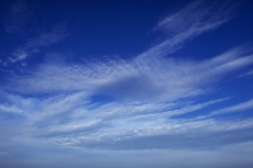 Sade Bulut gergi tavan modelleri