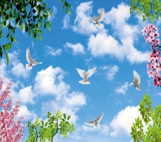 Kuş Resimleri gergi tavan modelleri