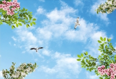 Kuş Resimleri gergi tavan modelleri