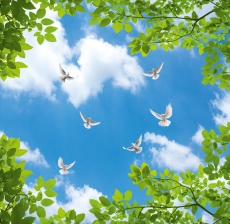 Kuş Resimleri gergi tavan modelleri