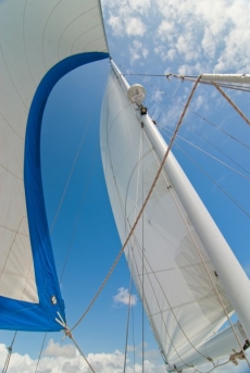 Araçlar gergi tavan modelleri