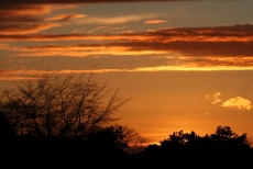 Günbatımı gergi tavan modelleri