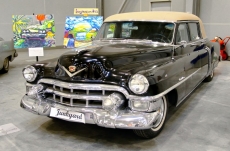 Araçlar gergi tavan modelleri