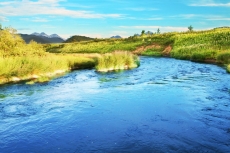Deniz ve Sahil Resimleri gergi tavan modelleri