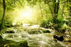 Şelale Resimleri gergi tavan modelleri