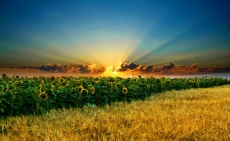 Günbatımı gergi tavan modelleri