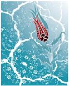 Desen ve Şekiller gergi tavan modelleri