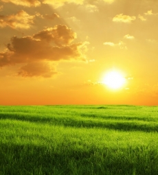 Günbatımı gergi tavan modelleri