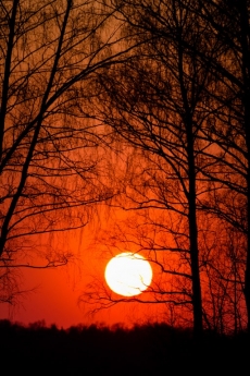 Günbatımı gergi tavan modelleri