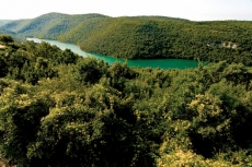 Şelale Resimleri gergi tavan modelleri