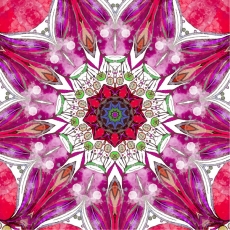 Desen ve Şekiller gergi tavan modelleri