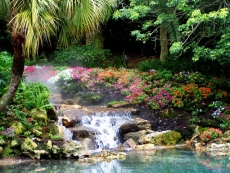 Şelale Resimleri gergi tavan modelleri