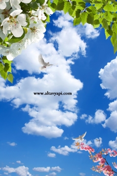 Gökyüzü/bitki gergi tavan modelleri