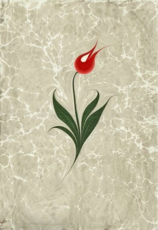 Desen ve Şekiller gergi tavan modelleri