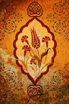 Desen ve Şekiller gergi tavan modelleri