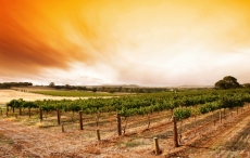 Günbatımı gergi tavan modelleri