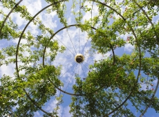 AĞAÇ RESİMLERİ gergi tavan modelleri