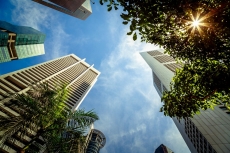 Şehir ve Yapılar gergi tavan modelleri