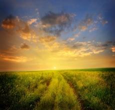 Günbatımı gergi tavan modelleri