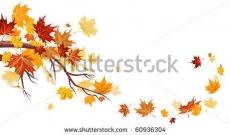 Desen ve Şekiller gergi tavan modelleri