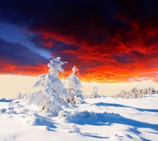 Günbatımı gergi tavan modelleri