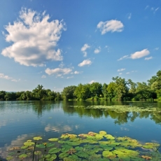 Deniz ve Sahil Resimleri gergi tavan modelleri