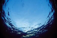 Su Altı Resimleri gergi tavan modelleri