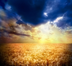 Günbatımı gergi tavan modelleri