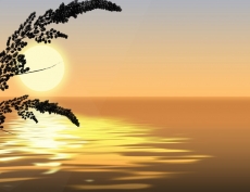 Günbatımı gergi tavan modelleri