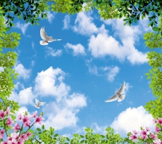 Kuş Resimleri gergi tavan modelleri