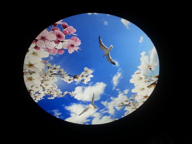 esenyurt gergi tavan,gergi tavan