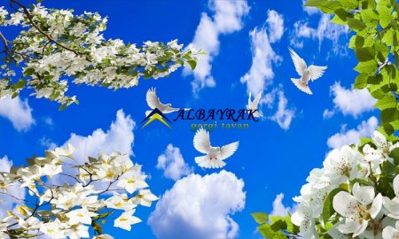 gergi tavan, gergi tavan malzemesi, ısı yalıtım, bakım, istikrar, emniyet, ekonomi, dayanıklılık