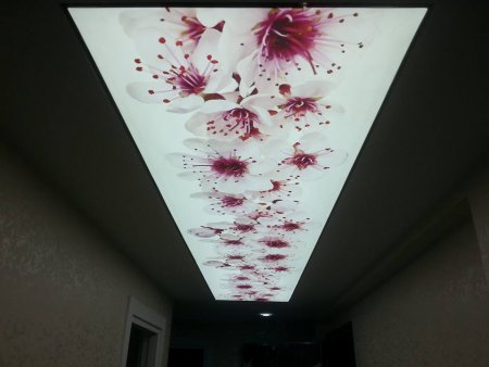 gergi tavan,gergi tavan fiyatları,gergitavan modelleri