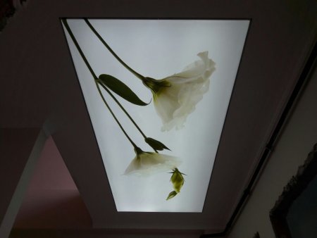 mutfak cam panel,gergi tavan fiyatları,gergi tavan m2 fiyatları,gergi tavan fiyatı